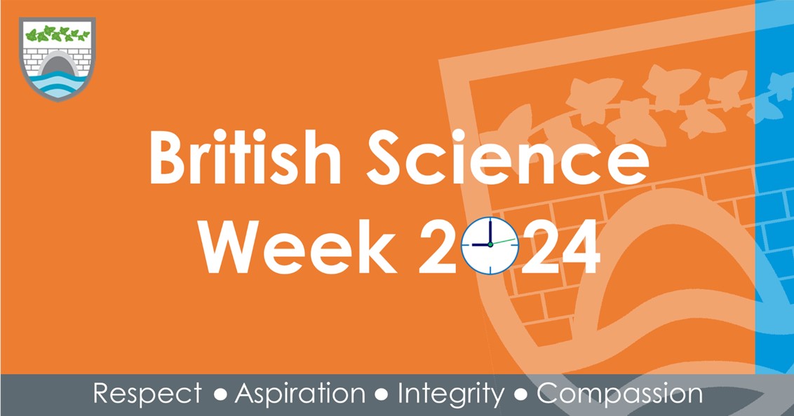 Ivybridge Community College British Science Week 2024